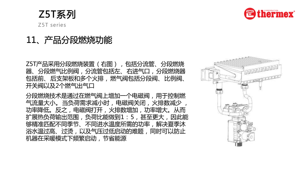 泰美斯壁掛爐Z5T系列_10.jpg